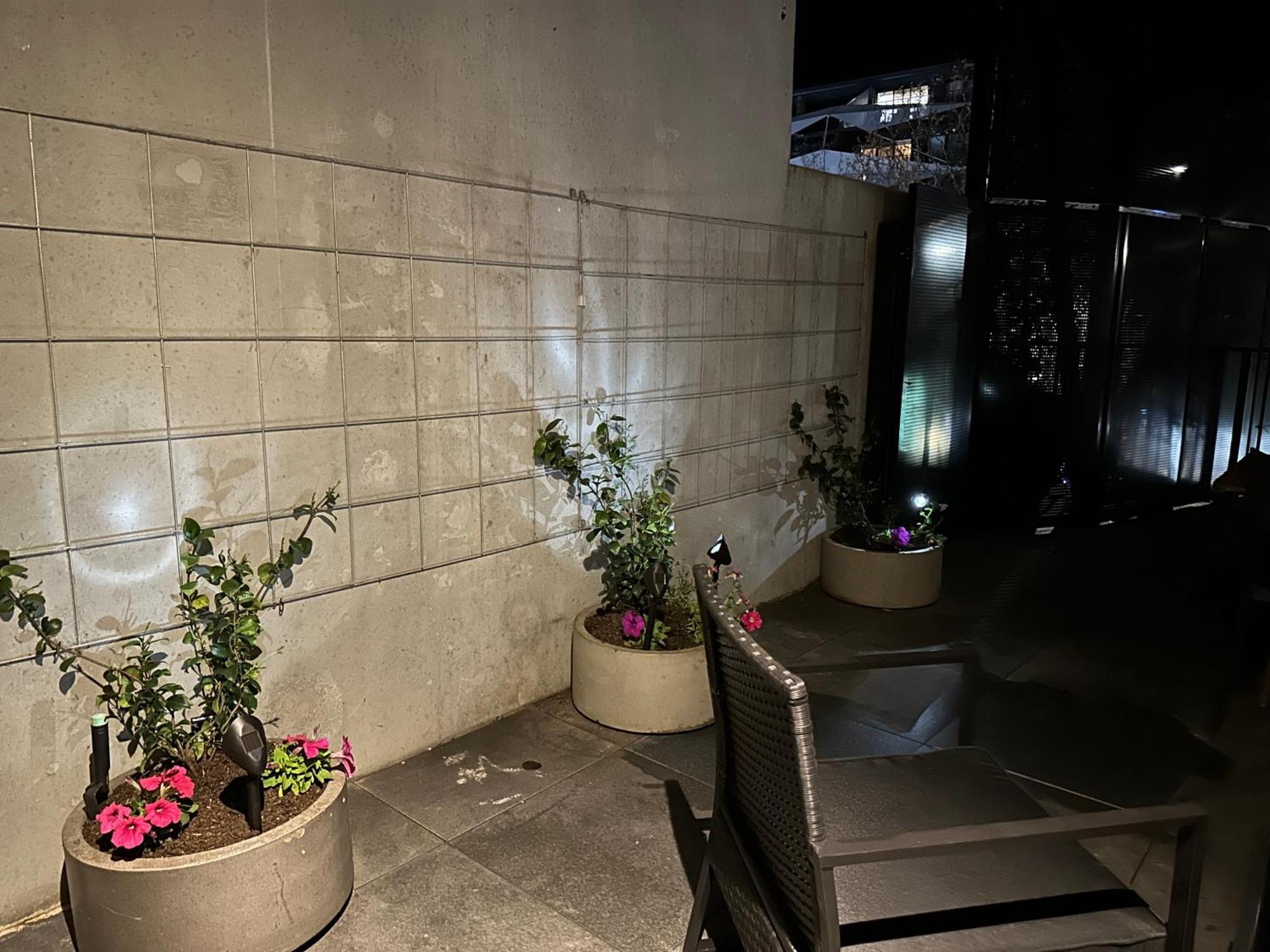 Palko - Luxury In The City キャンベラ エクステリア 写真